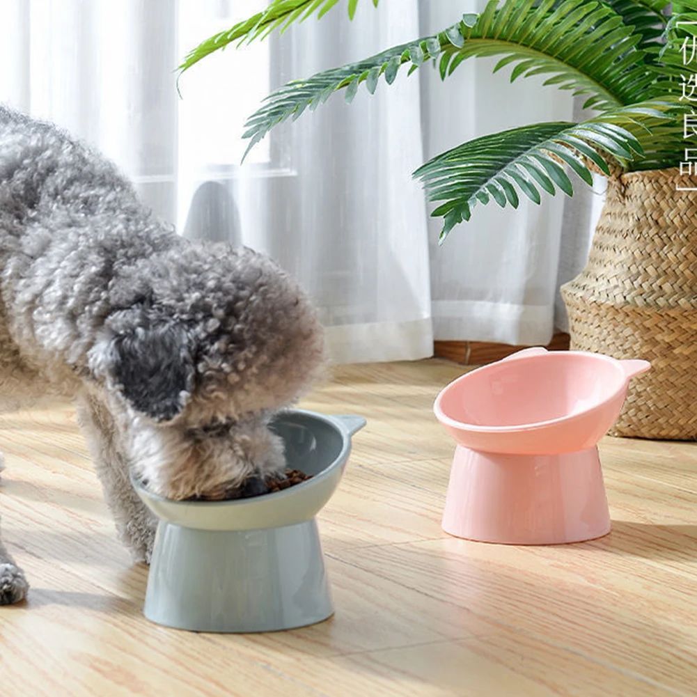 Tilted Cat Food Bowl — dog eating from bowl at home
