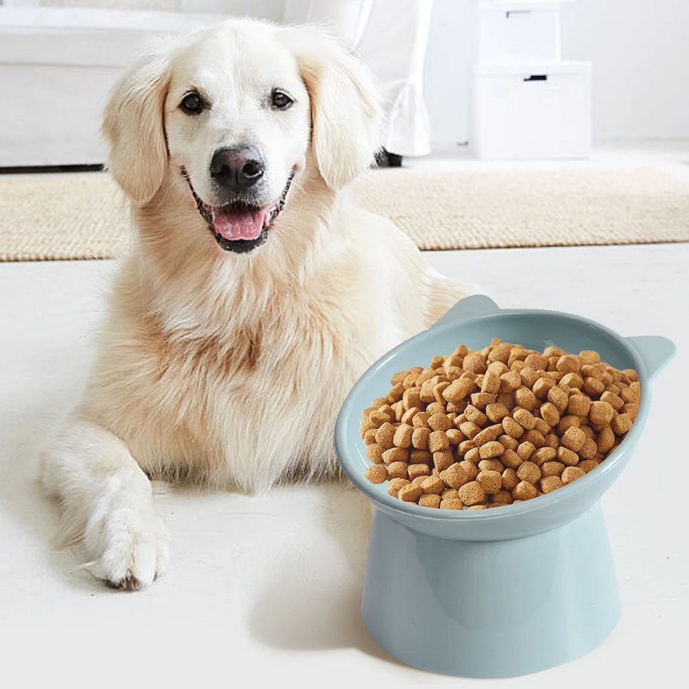 Tilted Cat Food Bowl — dog with kibble in blue bowl