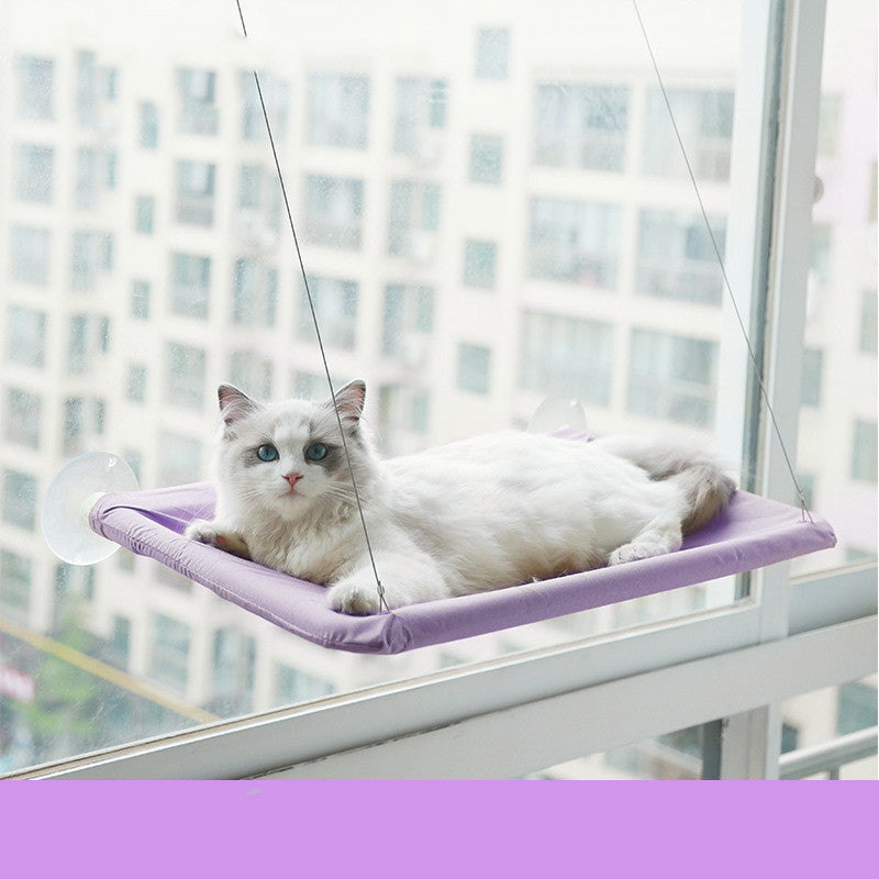 Cat Window Hammock Perch — cat resting on purple window hammock