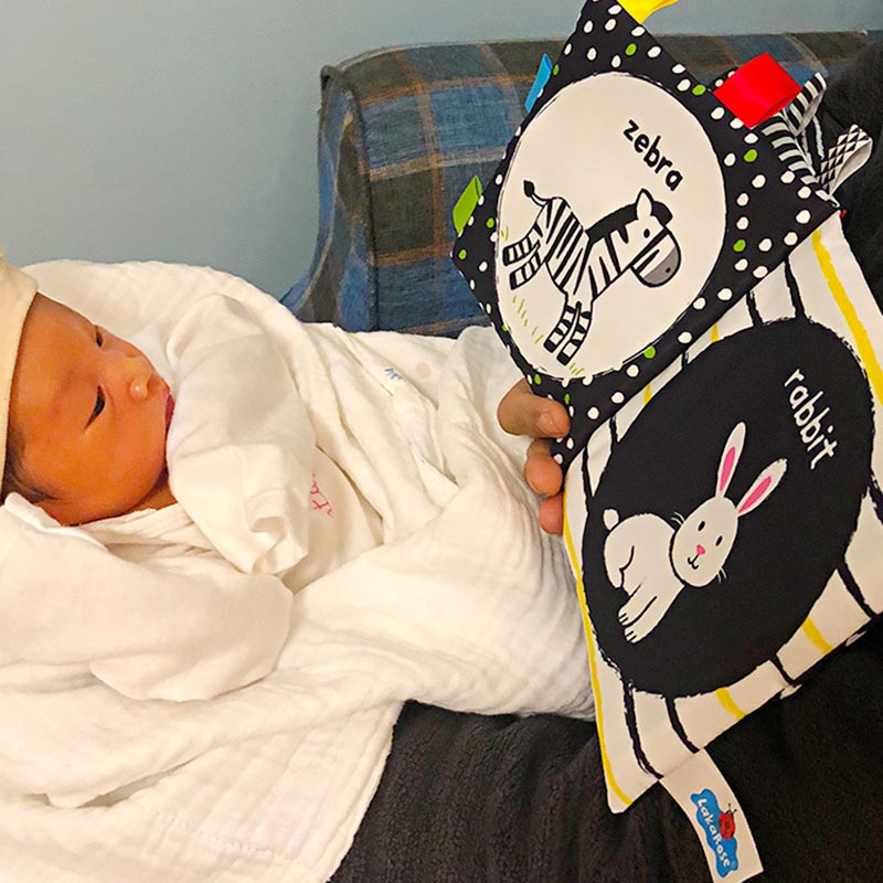 Baby Sensory Cloth Book — baby playing with high-contrast cloth book