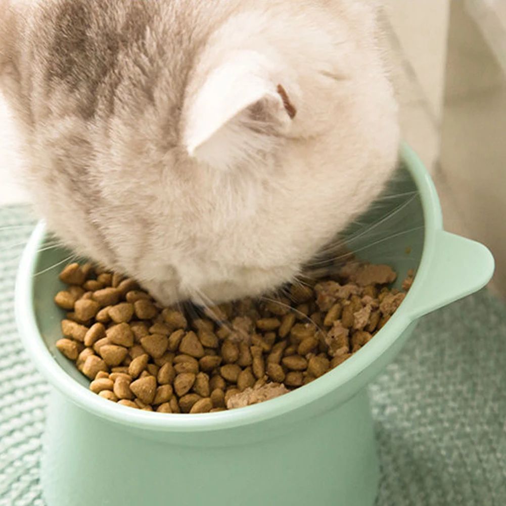 Tilted Cat Food Bowl — cat eating from green bowl, close-up