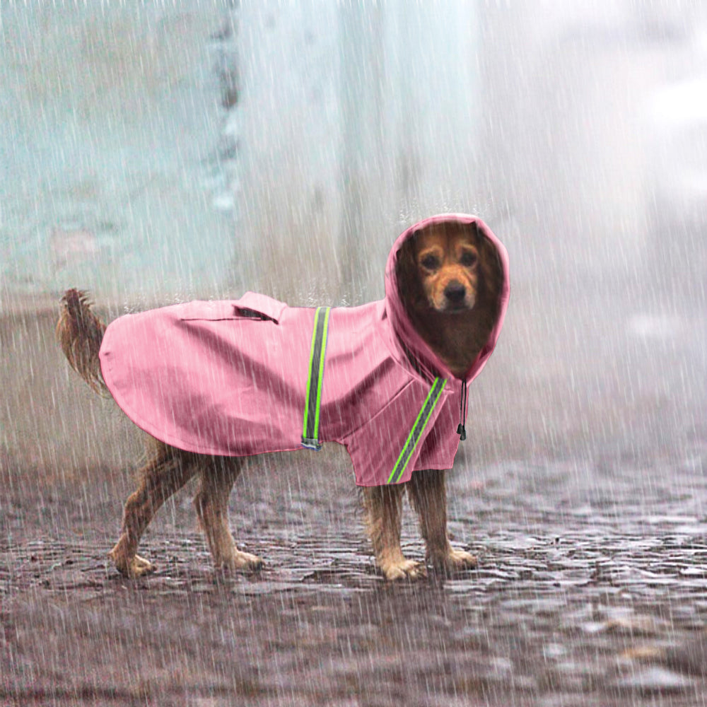Reflective Dog Raincoat — dog wearing raincoat in the rain