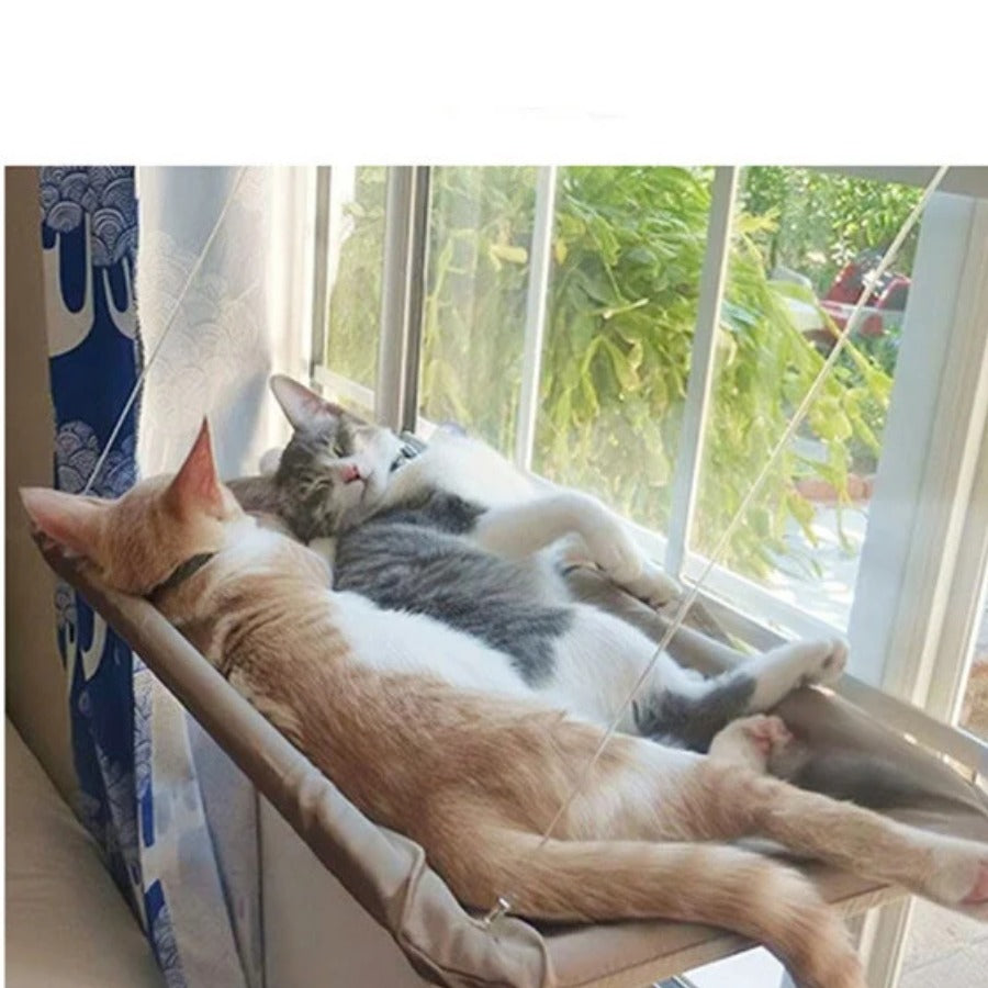 Cat Window Hammock Perch — cat resting on the window perch