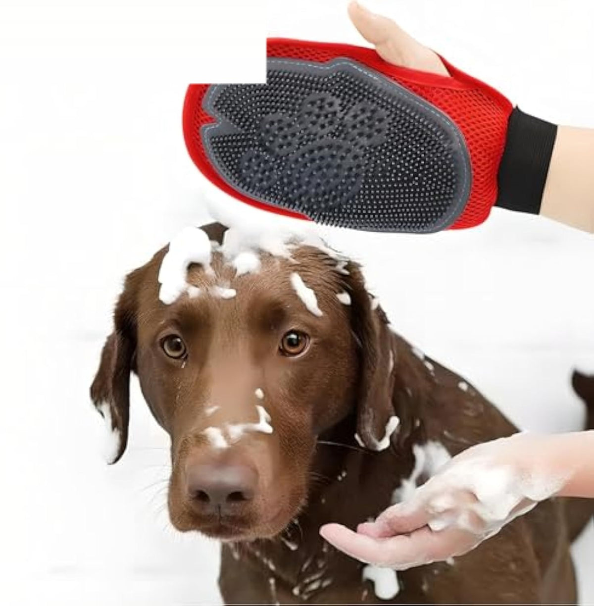 Pet grooming glove used at bath time