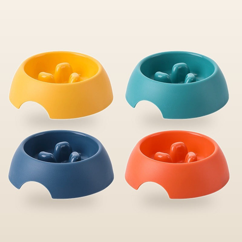 Slow Feeder Dog Bowl — studio shot